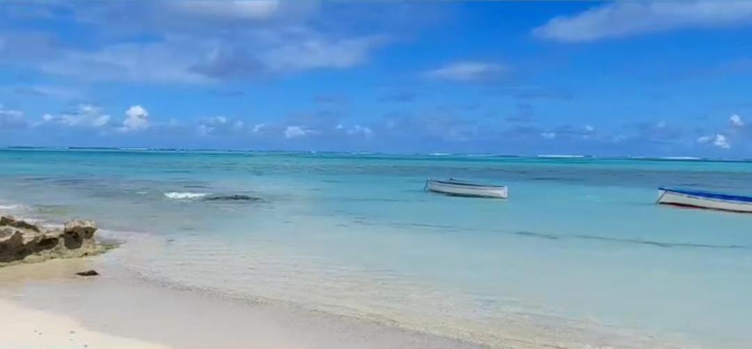 Calme Et Claire Vakantiehuis